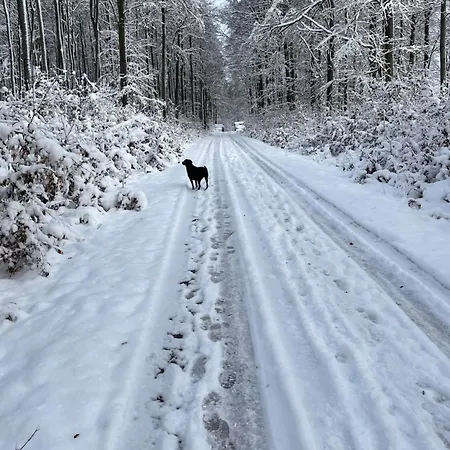 Haus Maxi Сasa de vacaciones Stolberg i. Harz