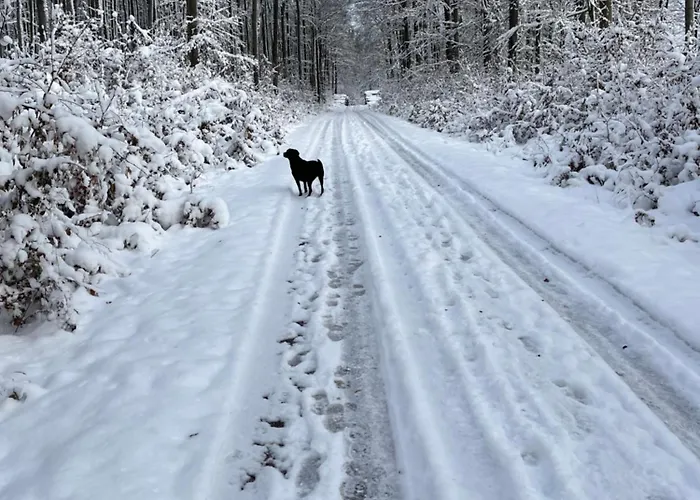 Haus Maxi Nyaraló Stolberg i. Harz